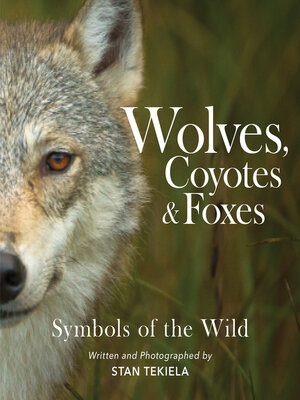 cover image of Wolves, Coyotes & Foxes